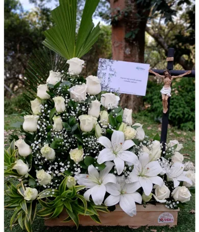 RF01- Funebre | Condolencia