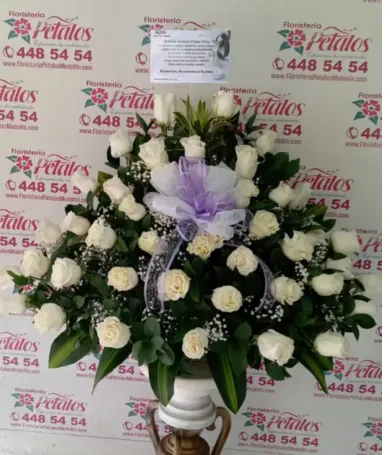 RF08- Funebre | Condolencia